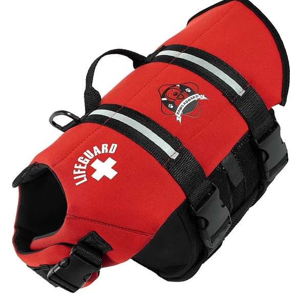Paws Aboard Dog Life Jacket, XS, gently worn, neoprene life vest for small dogs - Picture 1 of 8